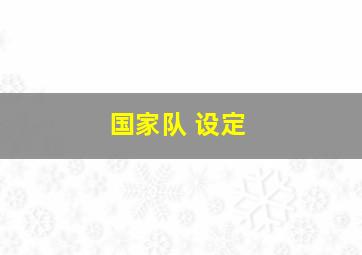 国家队 设定